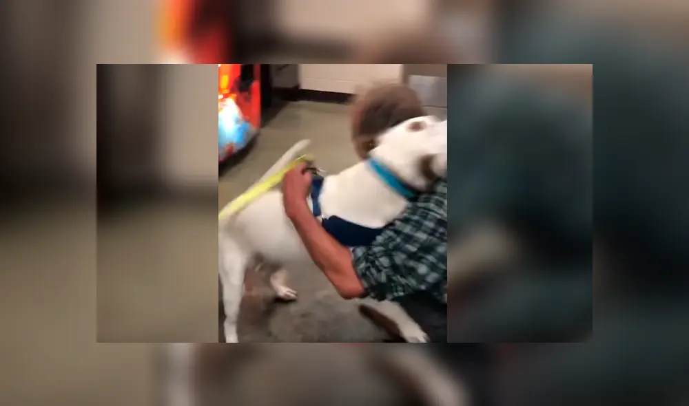 Hombre sin hogar se reunió con su mascota después de varios días sin verlo y la reacción del can se hizo viral en Facebook