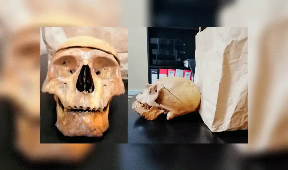 Buscan a pasajero que olvidó un cráneo en el Corredor Rojo