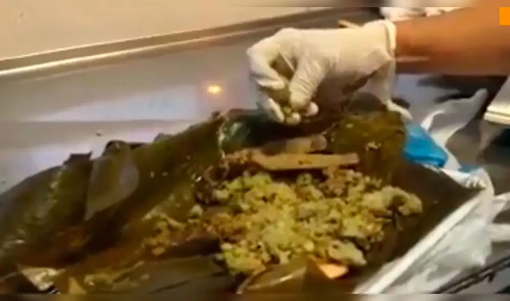 México: alerta por presunta venta de tamales con carne de perro [VIDEO]