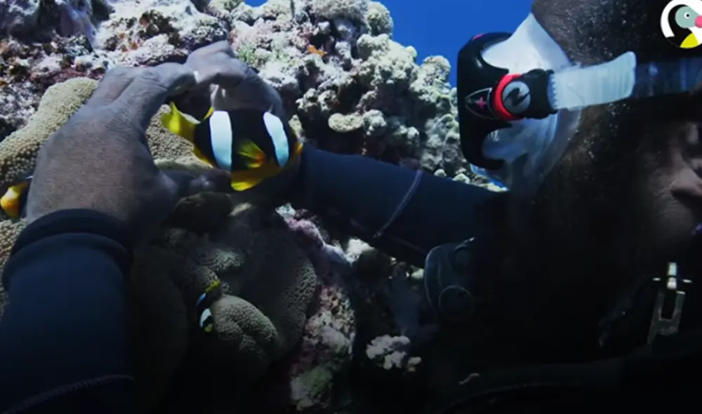 Desliza hacia la izquierda para ver las imágenes del video viral. Foto: captura de YouTube.