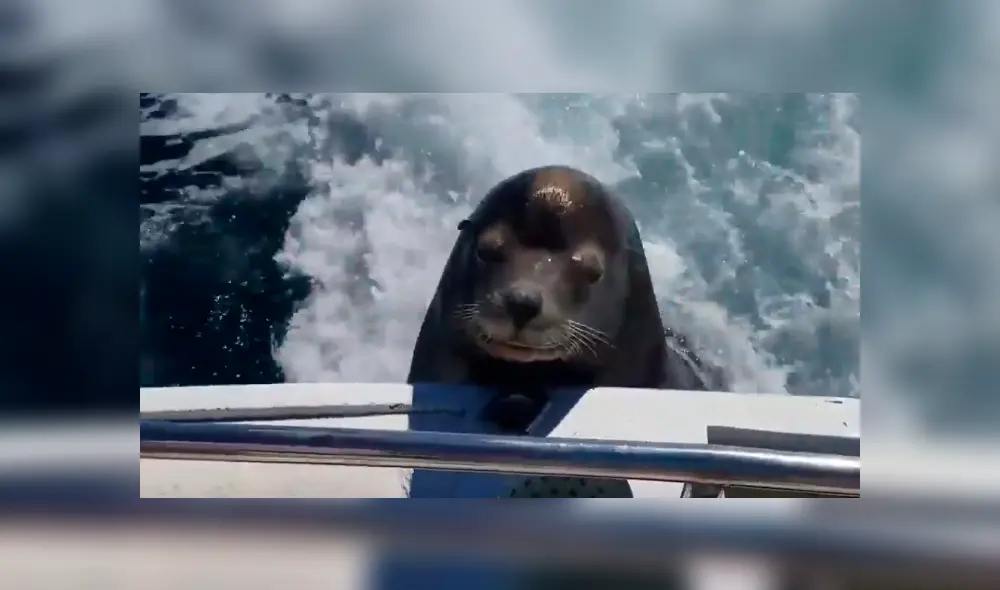 Desliza para ver todas las imágenes de YouTube. Foto: captura Desliza para ver todas las imágenes de YouTube. Foto: captura