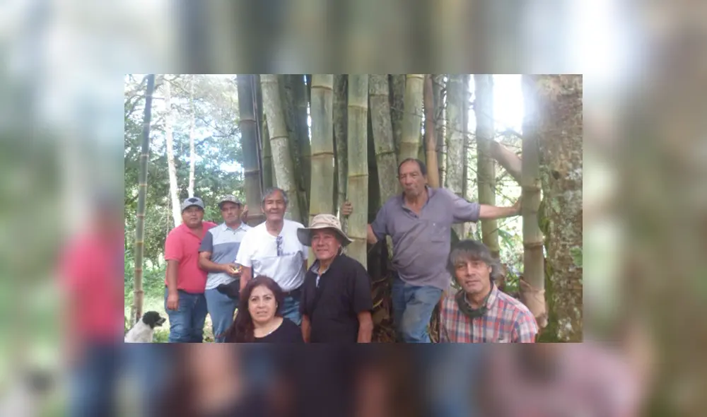 "Bambú Oxap" postula el uso del material en la construcción de viviendas y la edificación de cabañas turísticas. "Bambú Oxap" postula el uso del material en la construcción de viviendas y la edificación de cabañas turísticas.