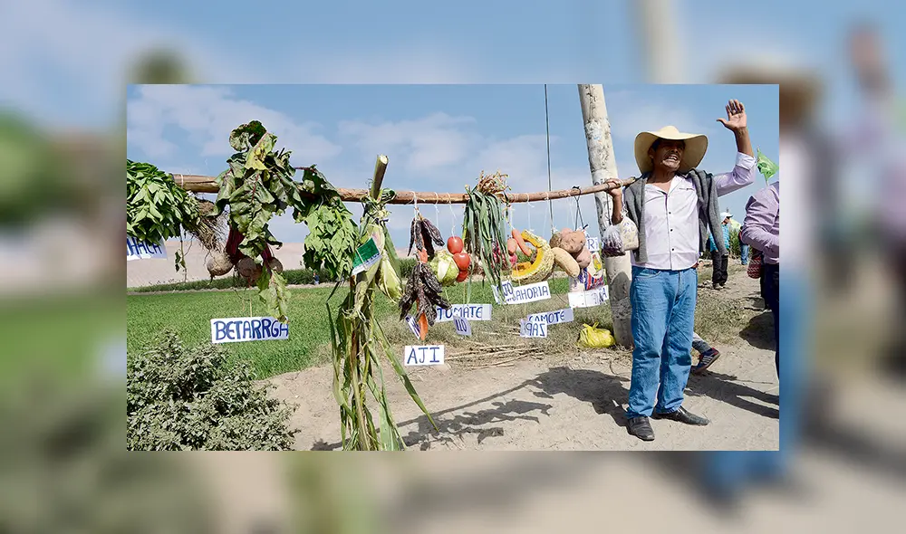 Temor. Agricultor muestra su producción que cree está en riesgo.