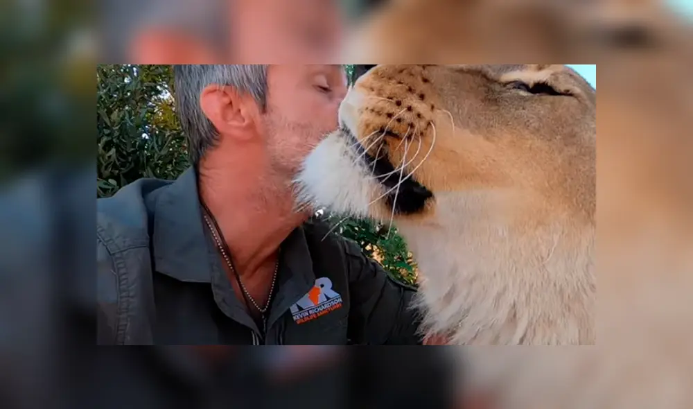 Desliza hacia la izquierda para ver las imágenes del viral de la leona con su cuidador. Imágenes del video de Youtube.