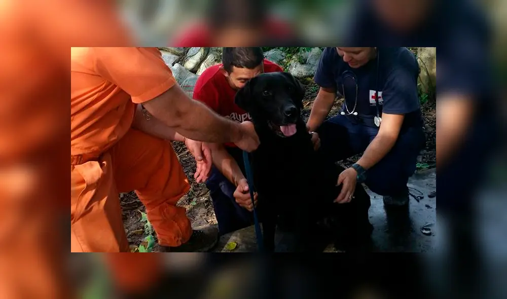 Kurt es considerado como uno de los miembros más importantes de su unidad. (Foto: Facebook)