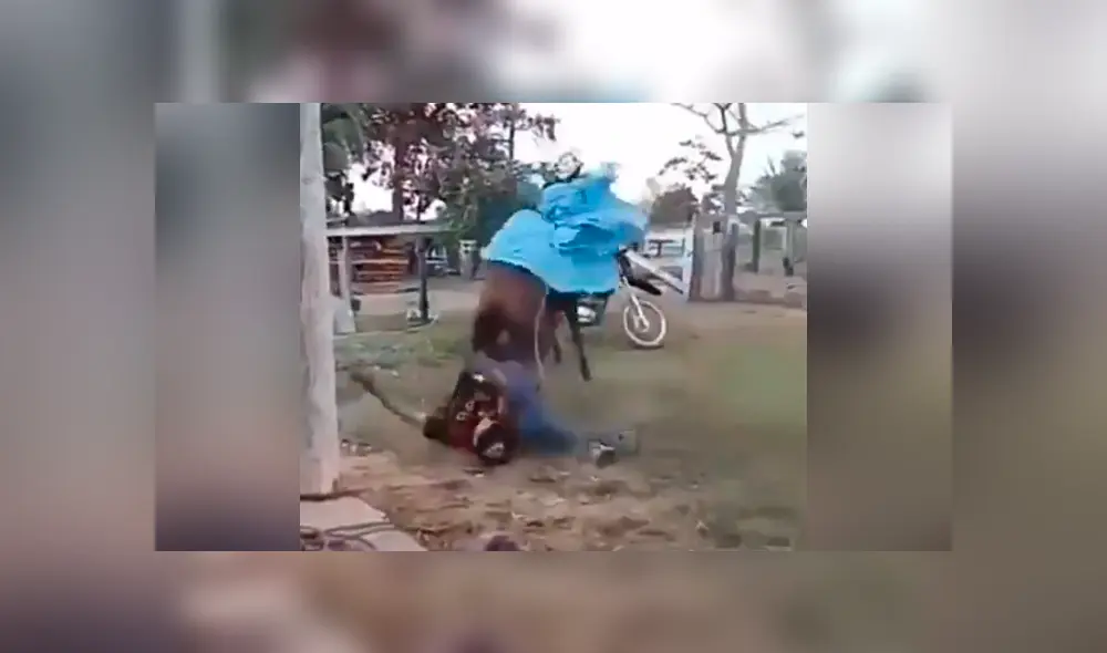 Un hombre vivió un bochornoso momento en Facebook al sufrir un aparatoso accidente luego de confundir un caballo domesticado con una mula salvaje. Un hombre vivió un bochornoso momento en Facebook al sufrir un aparatoso accidente luego de confundir un caballo domesticado con una mula salvaje.