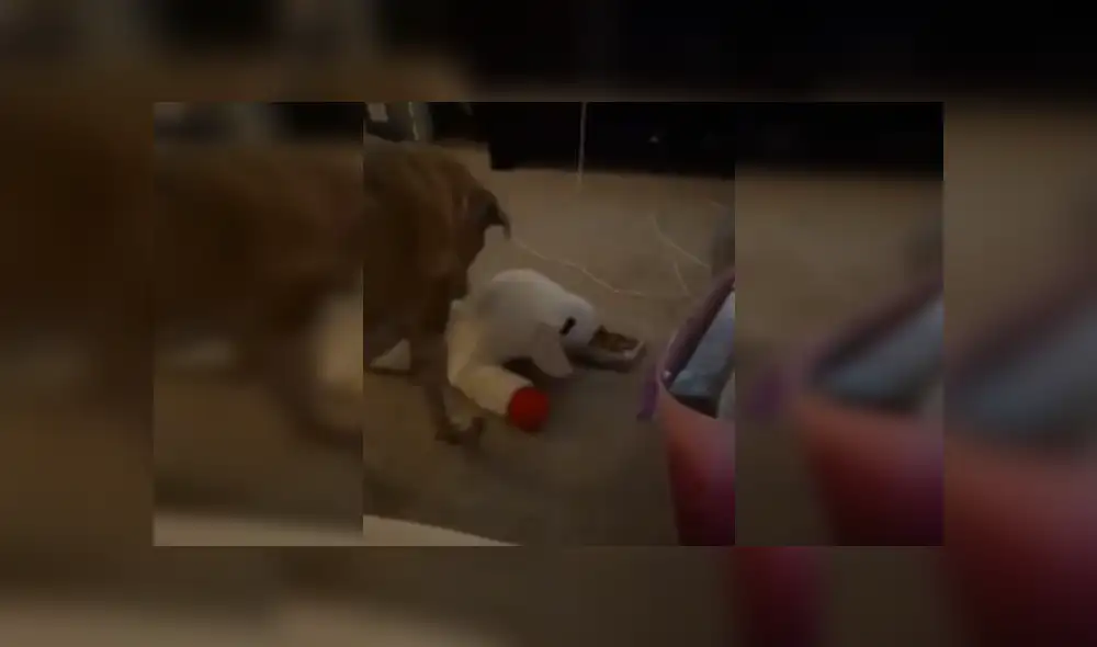 Desliza las imágenes para ver más detalles de esta conmovedora escena que es viral en Facebook.