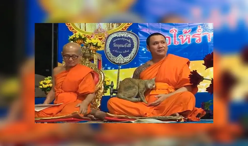 Desliza para ver detalles de este video viral de Facebook. Foto: Captura. Desliza para ver detalles de este video viral de Facebook. Foto: Captura.