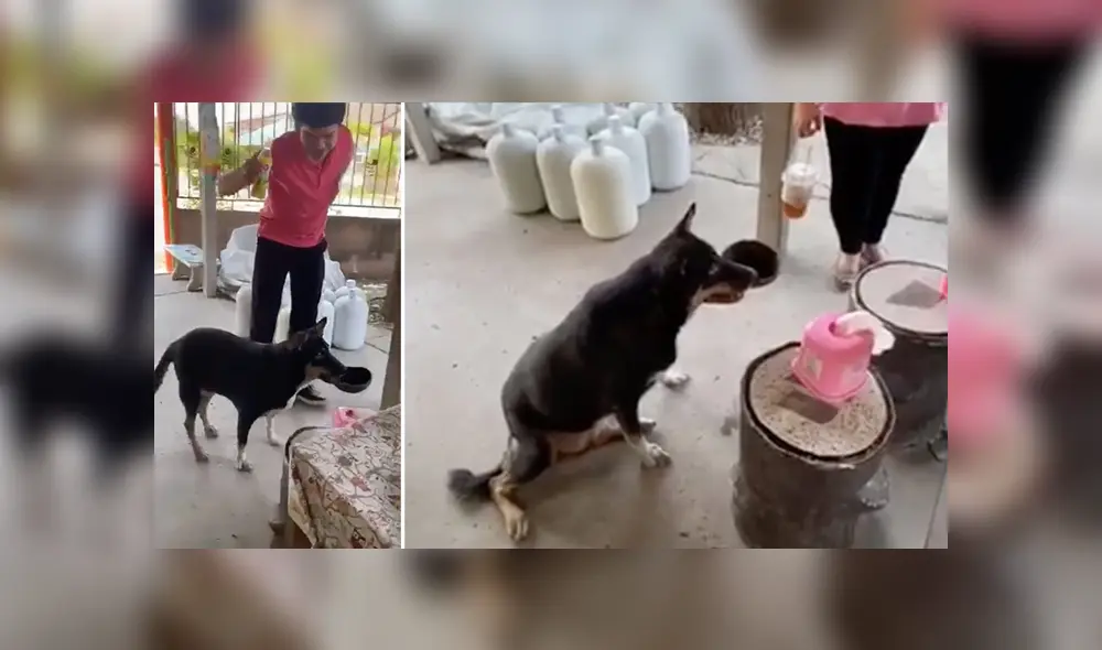 Desliza para ver los detalles del video viral publicado en YouTube. Foto: Captura. Desliza para ver los detalles del video viral publicado en YouTube. Foto: Captura.