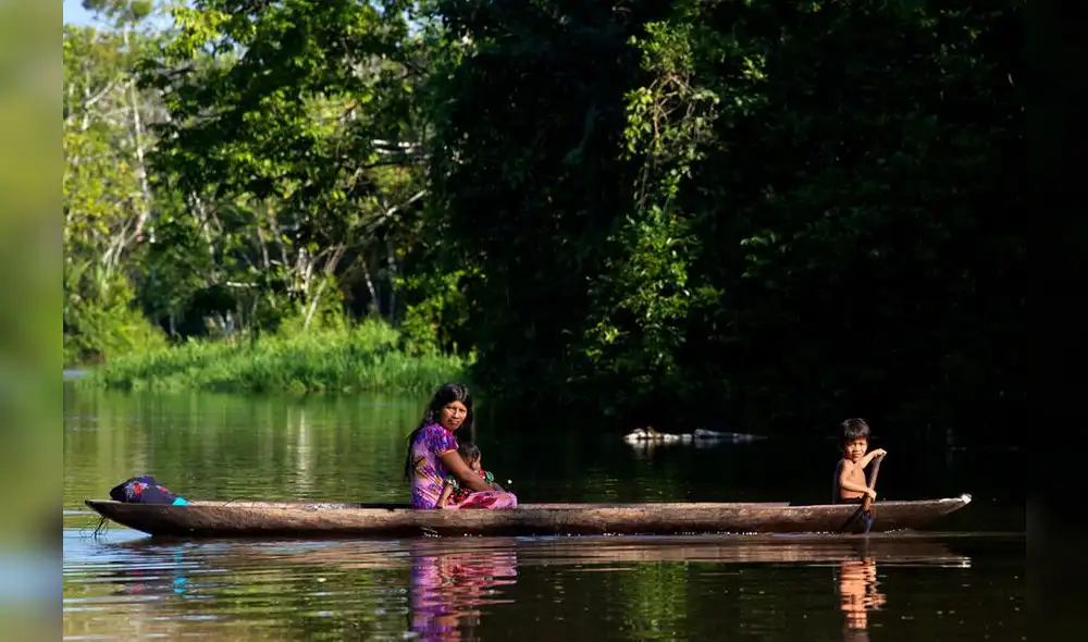 SERFOR y WWF trabajarán en gestión sostenible del patrimonio forestal y de fauna SERFOR y WWF trabajarán en gestión sostenible del patrimonio forestal y de fauna