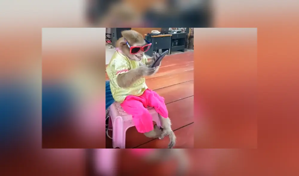 Una chica publicó un video viral en Facebook sobre el curioso momento en que descubrió su celular en manos de su escurridizo amigo.