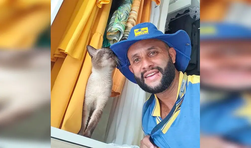 Desliza las imágenes para conocer la historia de un cartero quien ayuda a perros y gatos que viven en la calle. Foto: Instagram