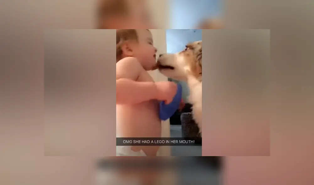 Desliza hacia la izquierda para ver las imágenes del tierno viral de Facebook. Foto: ViralHog Desliza hacia la izquierda para ver las imágenes del tierno viral de Facebook. Foto: ViralHog