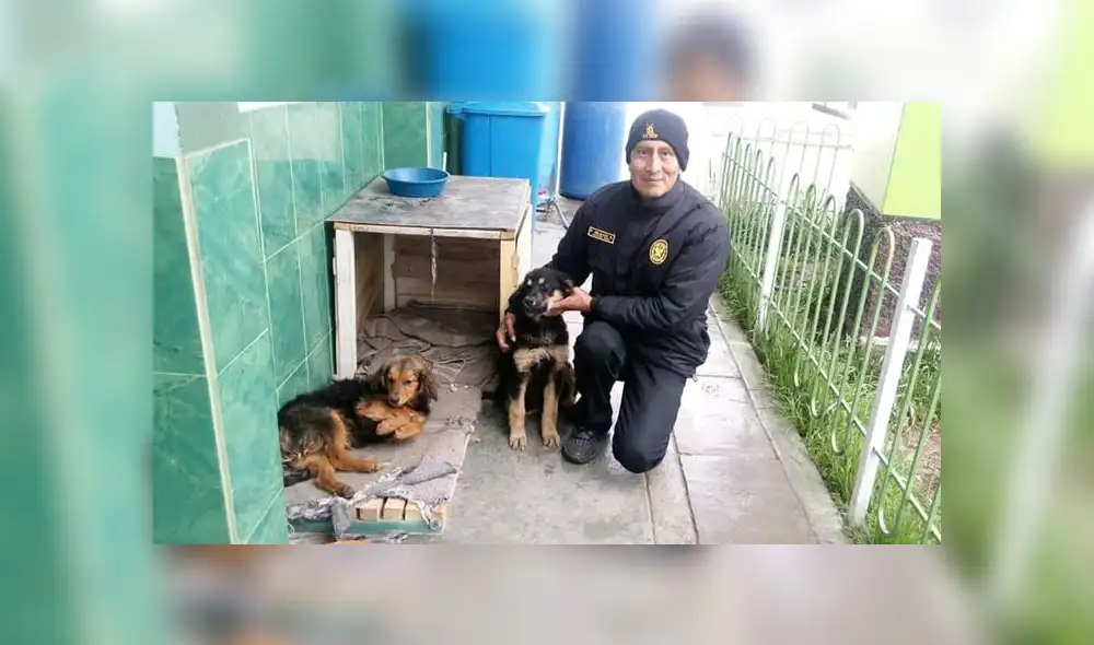 Pedro Delgado Gozar se ha convertido en el principal difusor de la Ley de Protección y Bienestar Animal. Pedro Delgado Gozar se ha convertido en el principal difusor de la Ley de Protección y Bienestar Animal.