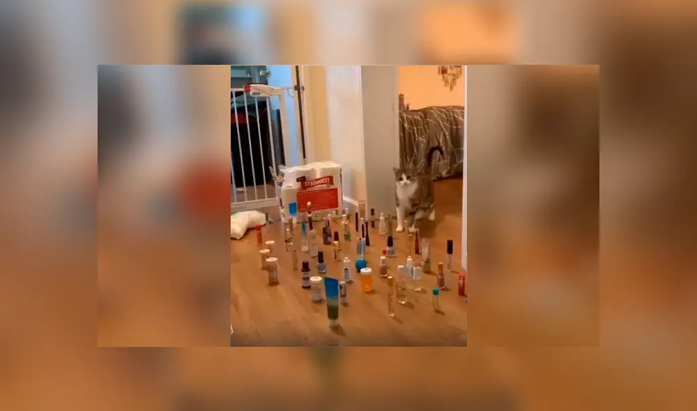 Desliza las imágenes hacia la izquierda para conocer al ganador de una divertida competencia que inventó un joven. Desliza las imágenes hacia la izquierda para conocer al ganador de una divertida competencia que inventó un joven.