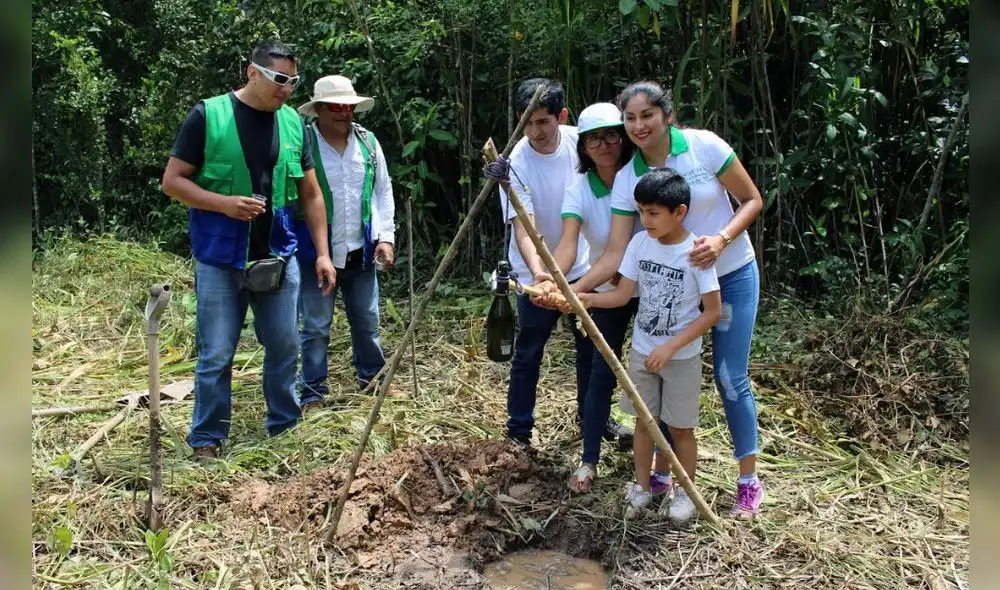 Madre de Dios: Construirán planta para mejorar la producción de castaña Madre de Dios: Construirán planta para mejorar la producción de castaña