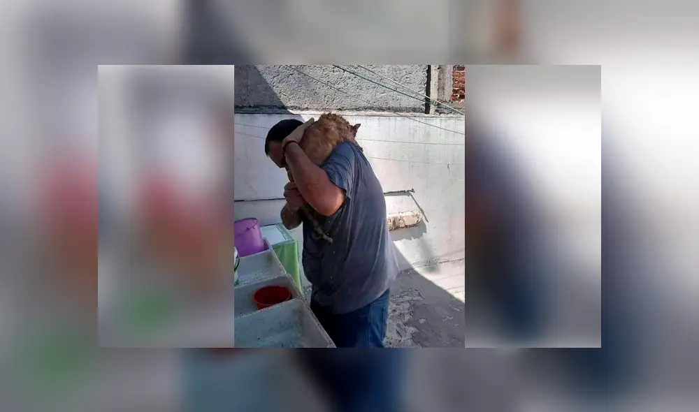 Desliza para ver el desenlace de esta historia de Facebook. Foto: Captura. Desliza para ver el desenlace de esta historia de Facebook. Foto: Captura.