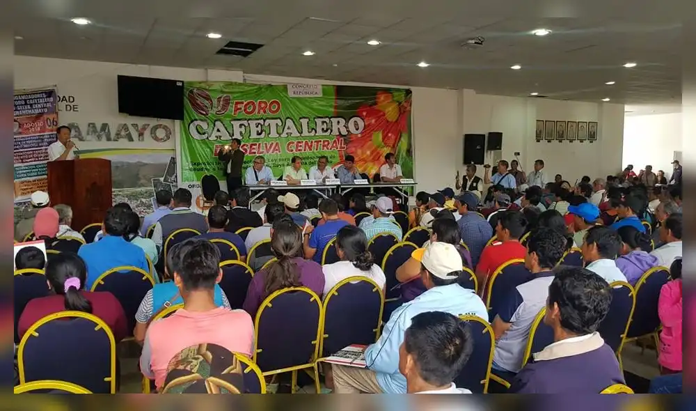 Junín: Más de 500 caficultores exigen condonación total de sus deudas por la Roya Amarilla