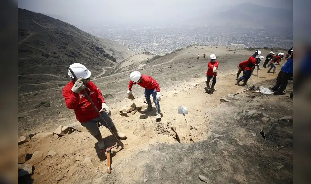 La Municipalidad de Lima inició la segunda obra de acondicionamiento de las Lomas de Amancaes. Foto: Municipalidad de Lima La Municipalidad de Lima inició la segunda obra de acondicionamiento de las Lomas de Amancaes. Foto: Municipalidad de Lima