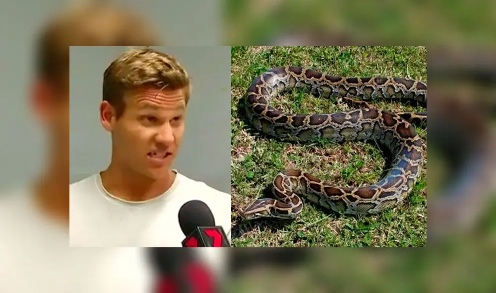 Padre golpea cabeza de serpiente de 4 metros para salvar a su hijo de la muerte [FOTO] 