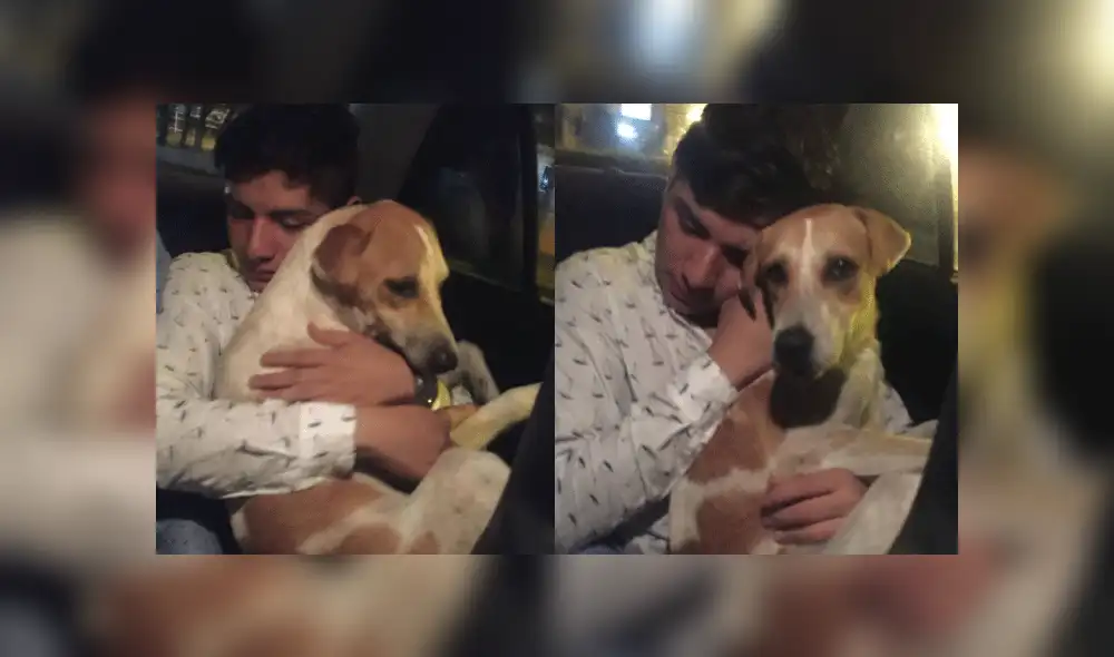 En Facebook, joven ebrio adopta un perro que encontró al salir de una discoteca [VIDEO]
