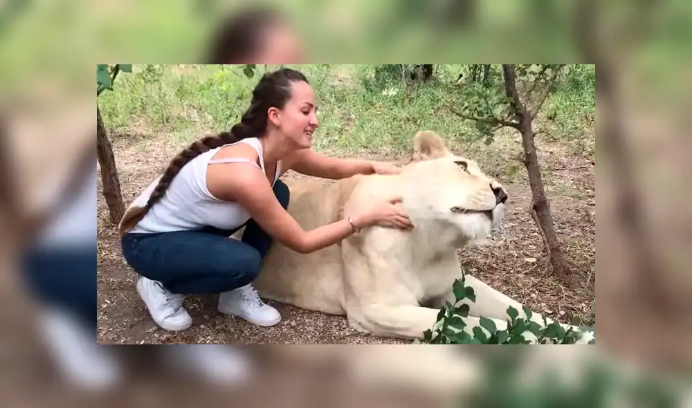 YouTube viral: Entra a calabozo de feroz depredador y este asombra a todos con una insólita reacción [VIDEO]