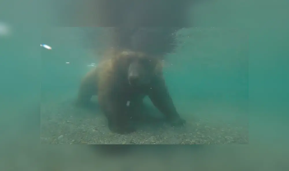 Vía Facebook. Hombre recorría un río en busca de su botín sin imaginar que sería testigo de una extraordinaria escena