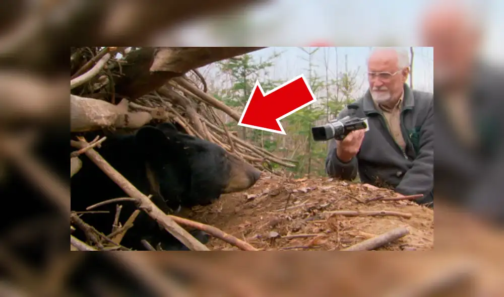 YouTube viral: valiente investigador ingresa a recinto de oso para grabar a las crías del animal [VIDEO]