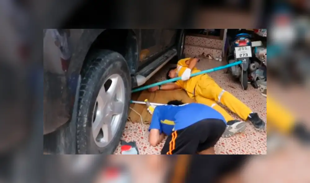 Facebook viral: gigantesca serpiente fue hallada dentro de auto malogrado por mecánicos [VIDEO]