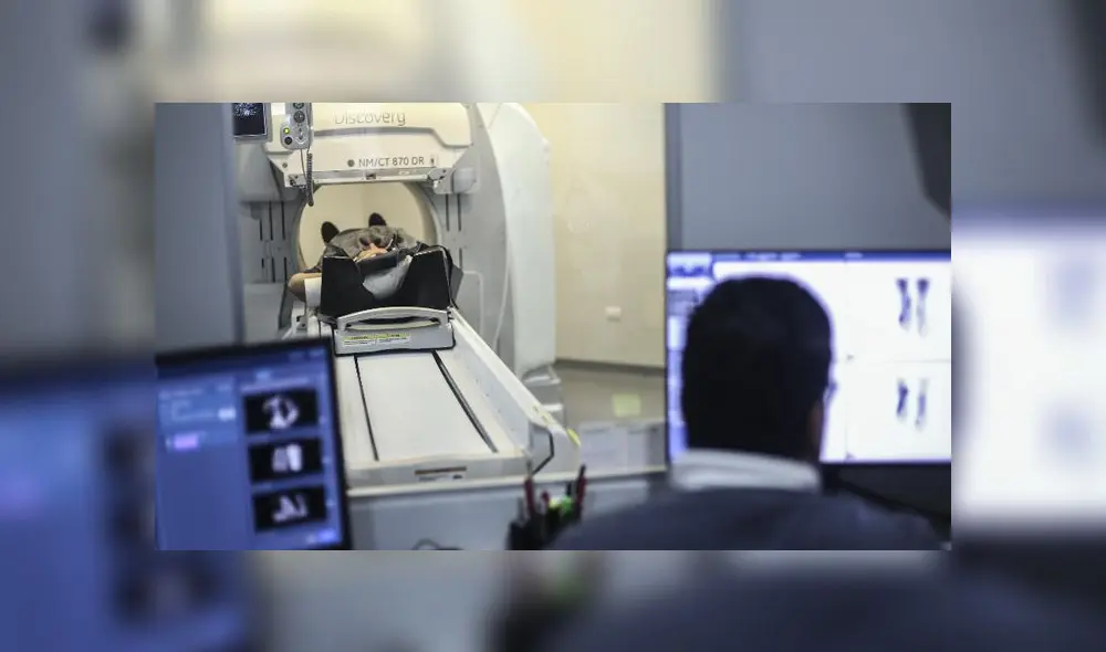 La espera de los pacientes con cáncer. Créditos: John Michael Ramon Taya /La República