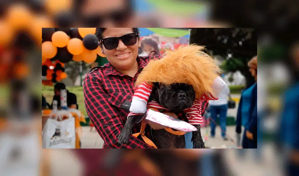 Oveja participa en concurso de mascotas por Halloween disfrazada de unicornio [FOTOS]