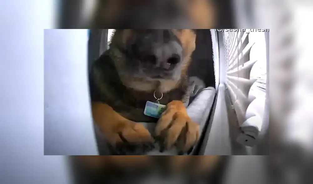 Desliza hacia la izquierda para ver las divertidas imágenes del viral de Facebook. Desliza hacia la izquierda para ver las divertidas imágenes del viral de Facebook.