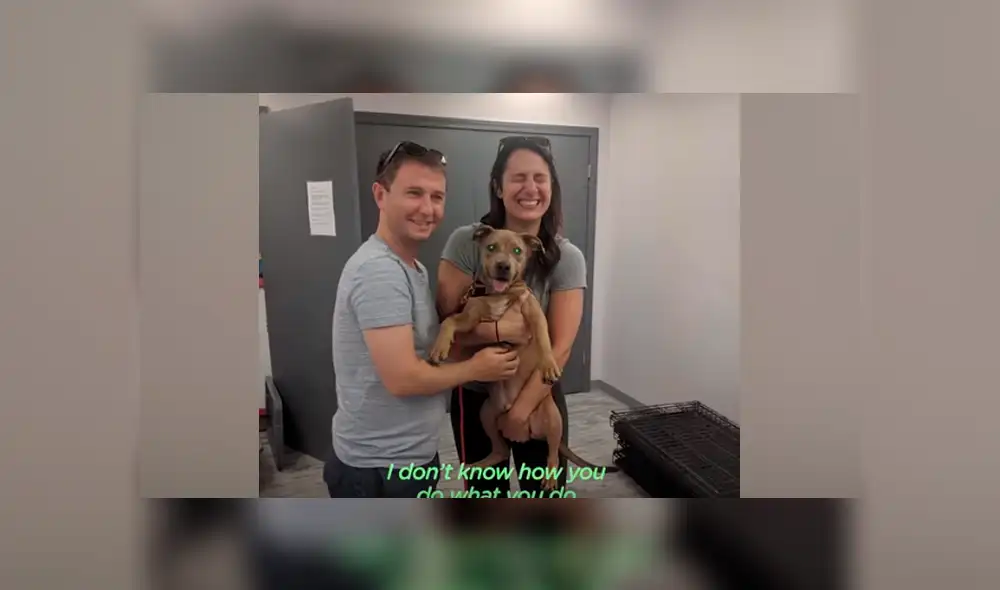 Desliza hacia la izquierda para ver el antes y después de un perro bebé que fue abandonado. Imágenes de Facebook.