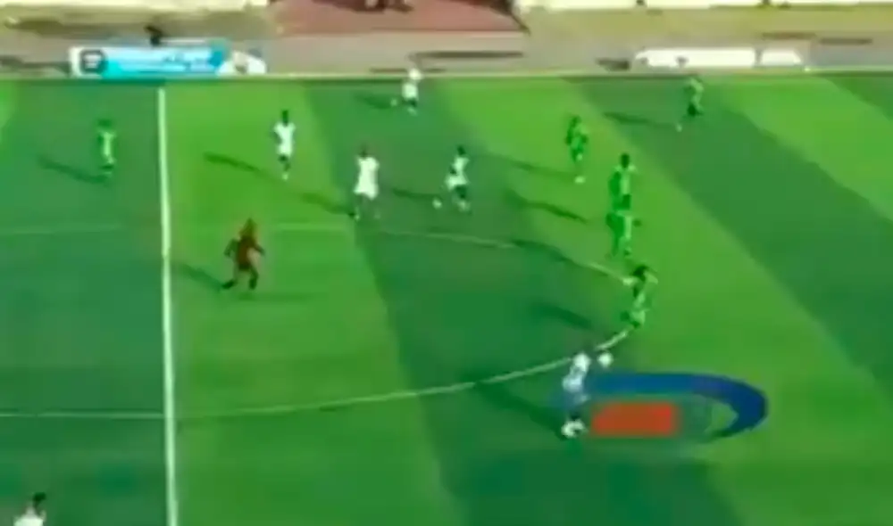 En el partido entre el Young Africans e Iringa se vio una marea de abejas que asustaron a propios y extraños. Las imágenes se hicieron viral por YouTube.