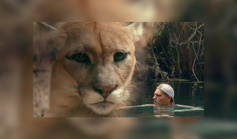 Desliza hacia la izquierda para ver el encuentro de un turista con un feroz animal, escena viral de YouTube. Desliza hacia la izquierda para ver el encuentro de un turista con un feroz animal, escena viral de YouTube.