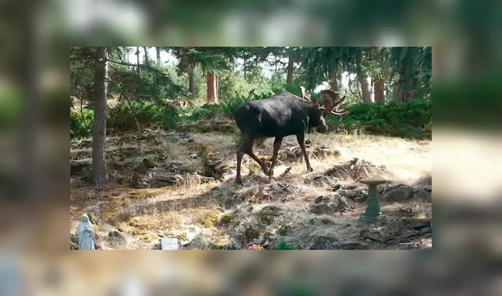 Desliza la imagen de Facebook para ver todas las fotos. Desliza la imagen de Facebook para ver todas las fotos.