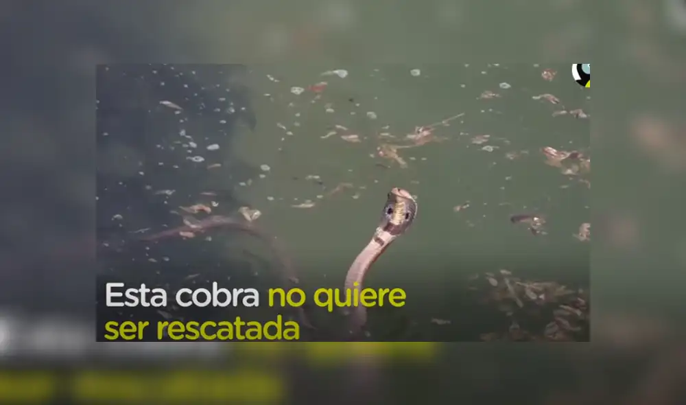 Desliza hacia la izquierda para ver las imágenes del viral de Facebook. Desliza hacia la izquierda para ver las imágenes del viral de Facebook.