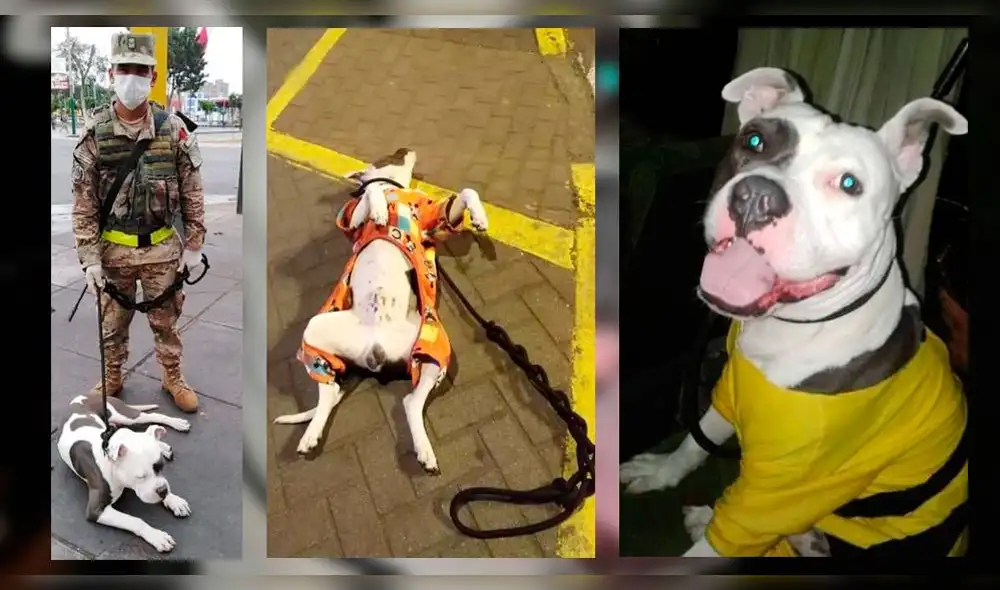 Coronavirus Coronavirus