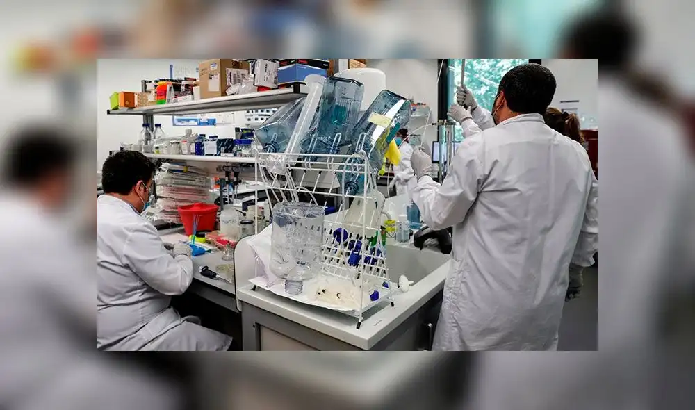 Varios investigadores españoles también están en la carrera por dar con una vacuna contra el nuevo coronavirus. Foto: EFE Varios investigadores españoles también están en la carrera por dar con una vacuna contra el nuevo coronavirus. Foto: EFE