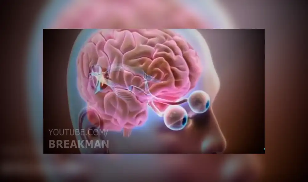 YouTube viral: tétrico video ha provocado confusión a todas las personas que lo han visto [VIDEO]