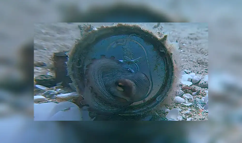 Desliza para ver los detalles de este video viral publicado en YouTube. Foto: Captura. Desliza para ver los detalles de este video viral publicado en YouTube. Foto: Captura.