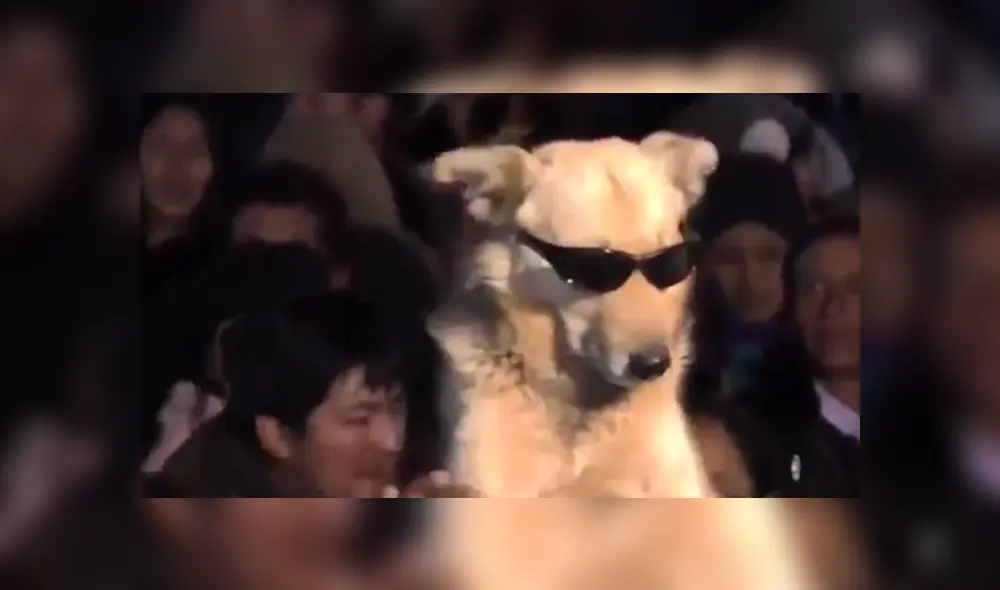 En Facebook, un señor sorprendió al acudir a un concierto de cumbia acompañado de su mascota y fueron captados bailando.