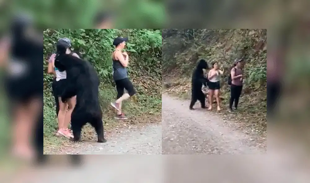 El animal incluso trató de empujar a la joven con sus garras, pero ella no mostró gran reacción. Foto: captura Twitter.