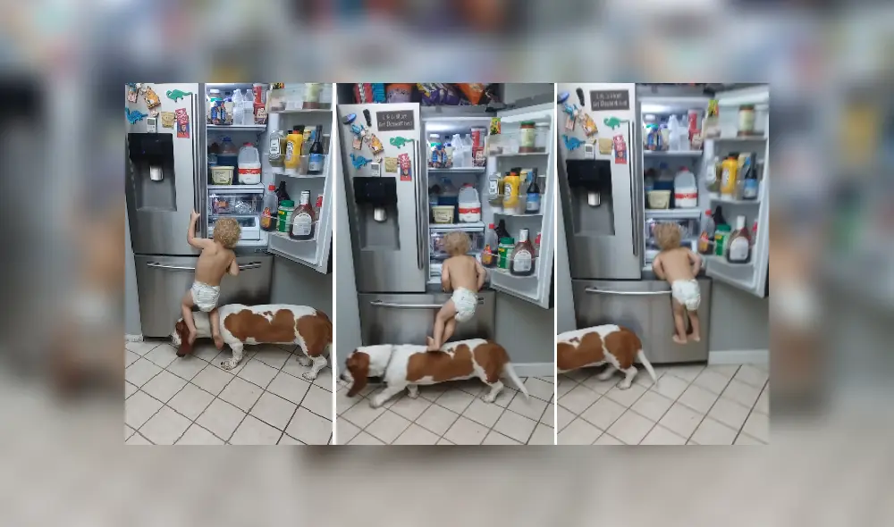 Desliza las imágenes para ver más detalles de esta escena que se volvió viral en Facebook.