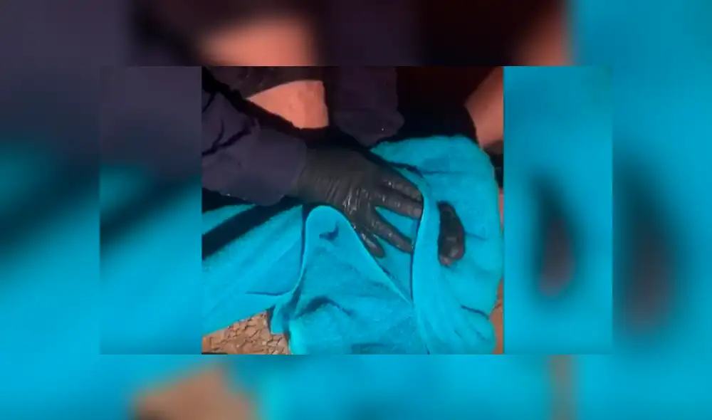 Desliza las imágenes hacia la izquierda para apreciar el increíble rescate de un perro bebé que estuvo a punto de morir.