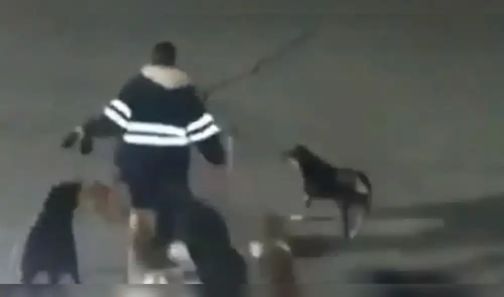 Foto referencial Foto referencial