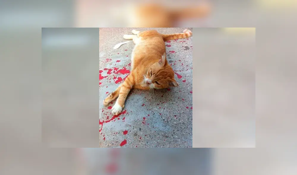 Desliza para ver los detalles de esta historia que se viralizó en Facebook. Foto: Captura. Desliza para ver los detalles de esta historia que se viralizó en Facebook. Foto: Captura.