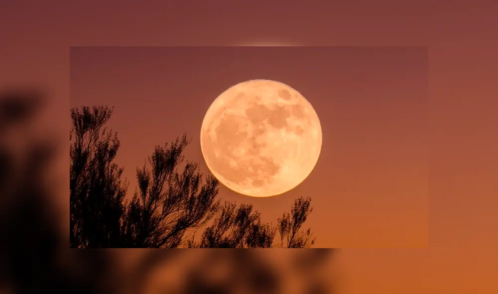Superluna 2019: cuándo verla y por qué la nombraron 'luna llena de gusano'