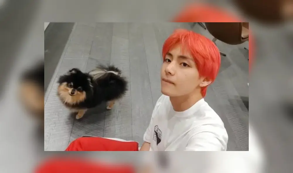 Yeontan, la mascota de V de BTS, se ha robado el corazón del ARMY.