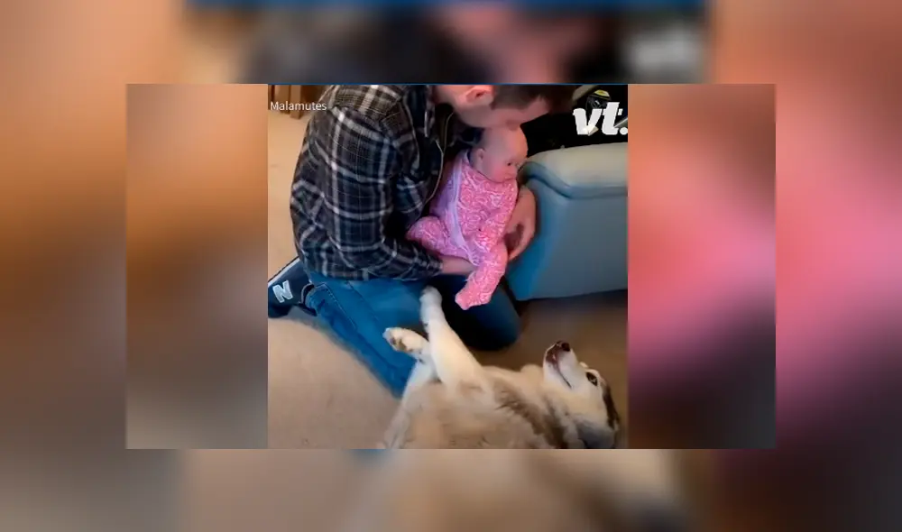 A través de Facebook se hizo viral el tierno momento en que un par de perros conocen a un bebé recién nacido.